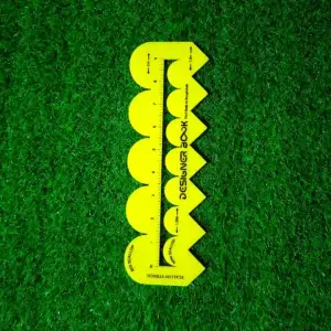 ভ্যারাইটিজ মাল্টিস্ক্যাল